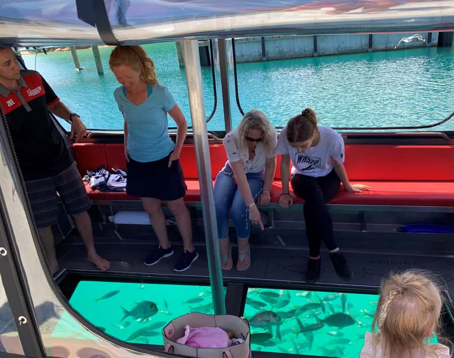 Paihia: Glass Bottom Boat Tour to the Hole in the Rock - Why this Paihia boat trip works so well
