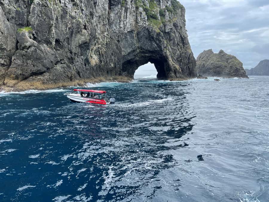 Paihia: Glass Bottom Boat Tour to the Hole in the Rock - What the skipper adds to the ride