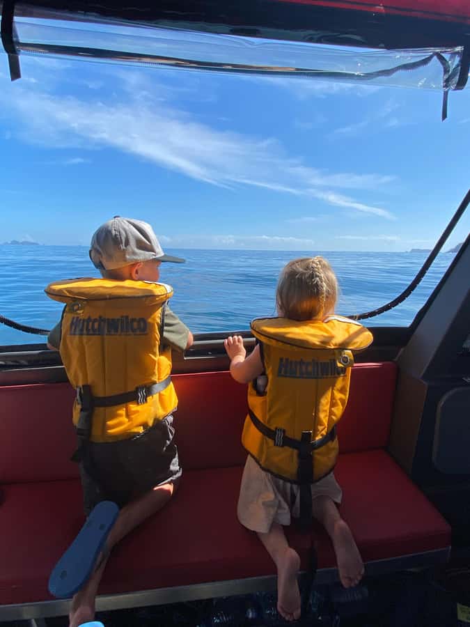 Paihia: Glass Bottom Boat Tour to the Hole in the Rock - Who should book this experience?
