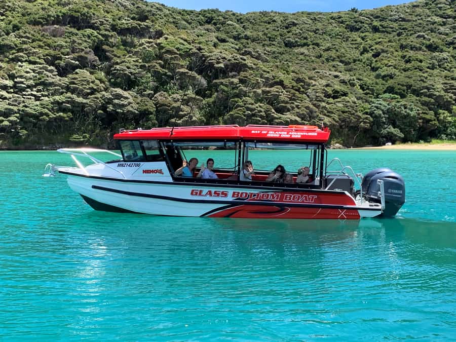 Paihia: Glass Bottom Boat Tour to the Hole in the Rock - Leaving from Paihia’s Main Wharf