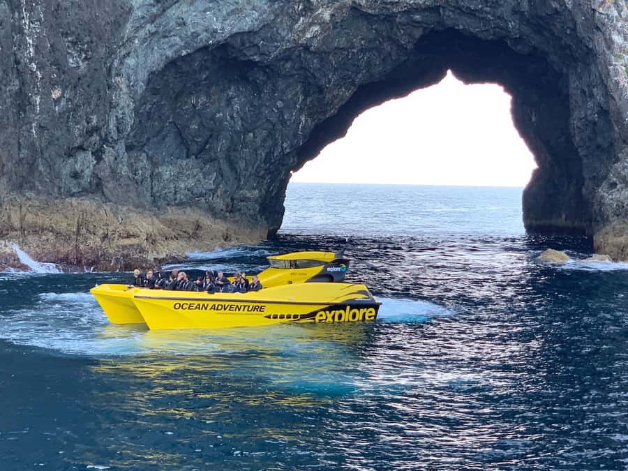 Paihia: Hole in the Rock Fast Boat Ocean Adventure - Key points before you board