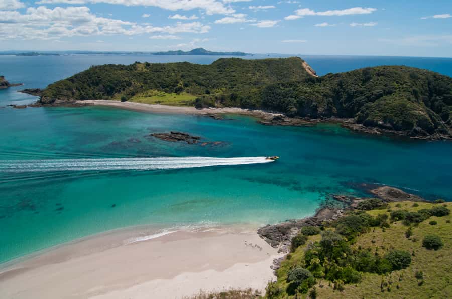 Paihia: Hole in the Rock Fast Boat Ocean Adventure - Price and value at $89