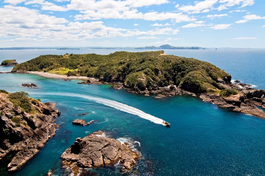 Paihia: Hole in the Rock Fast Boat Ocean Adventure - The fast boat and what the ride feels like
