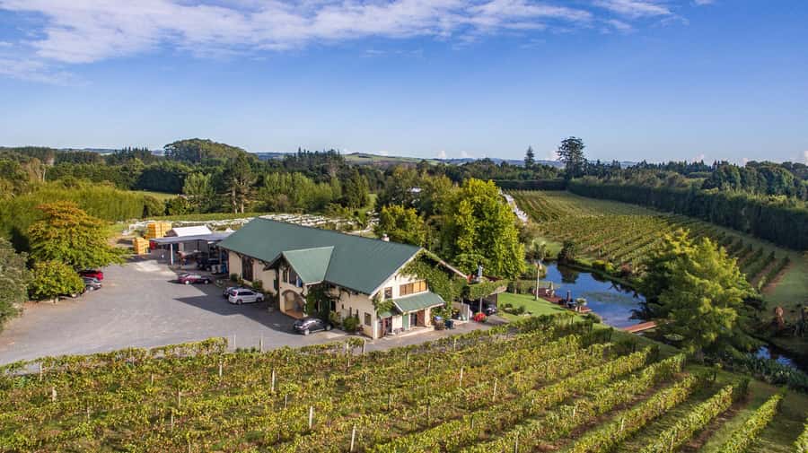 Paihia or Kerikeri: Wine, Spirit, & Craft Beer Tour - The route details need a quick check