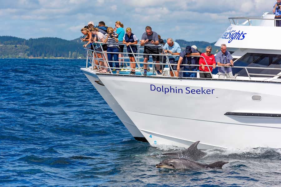 Paihia/Russell: Hole in the Rock and Bay of Islands Cruise - Key points to know before you book
