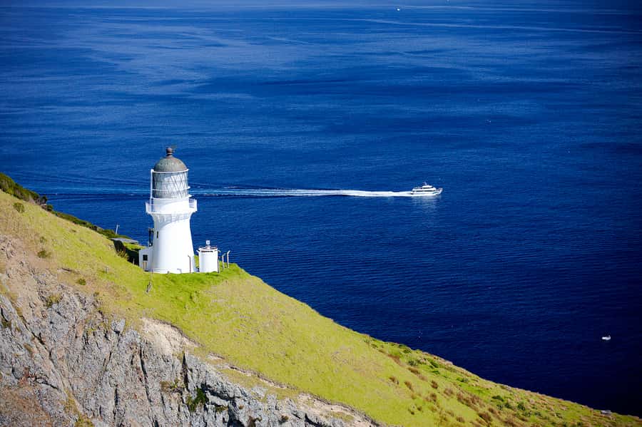 Paihia/Russell: Hole in the Rock and Bay of Islands Cruise - Paihia or Russell: choosing your departure