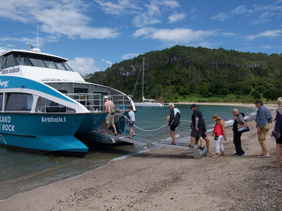 Paihia/Russell: Hole in the Rock Cruise with 2 Island Stops - Key Points Before You Book