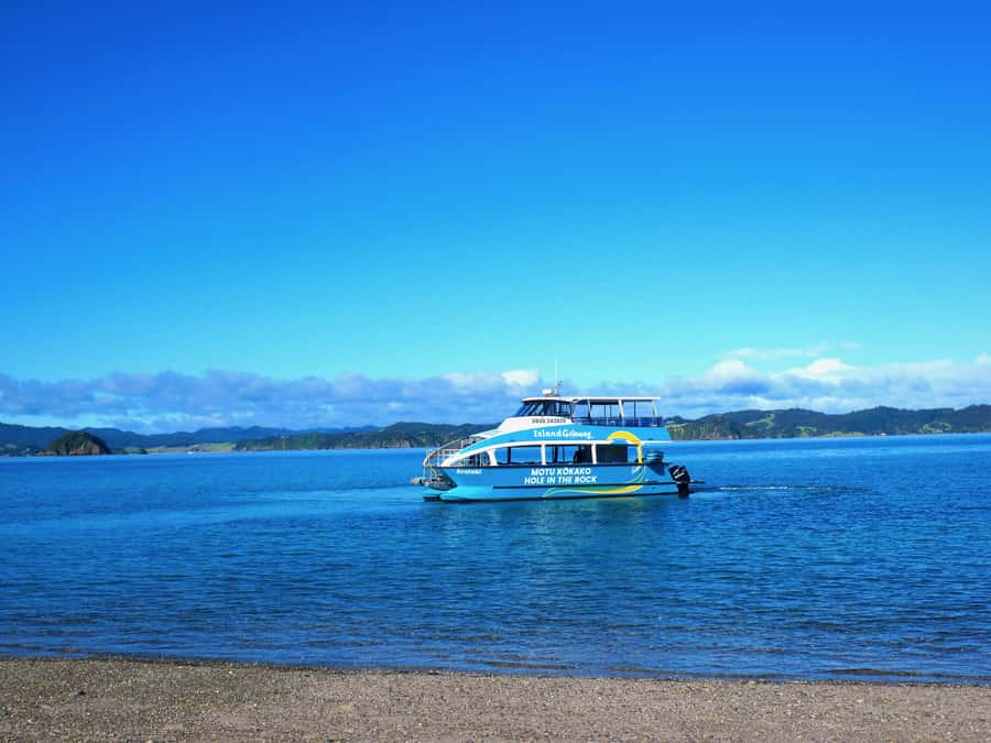 Paihia/Russell: Hole in the Rock Cruise with 2 Island Stops - Who Will Get the Most from This $90 Trip?