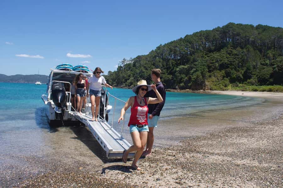 Paihia/Russell: Hole in the Rock Cruise with 2 Island Stops - Cape Brett, the Lighthouse, and the Open Water