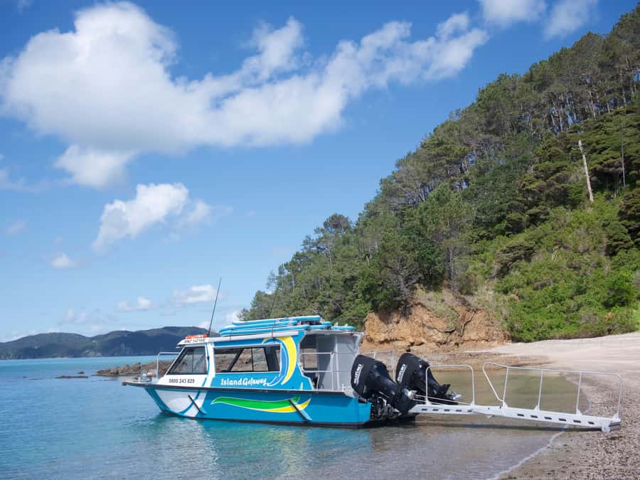 Paihia/Russell: Hole in the Rock Cruise with 2 Island Stops - Urupukapuka Island: Swim, Snorkel, and Eat by the Water