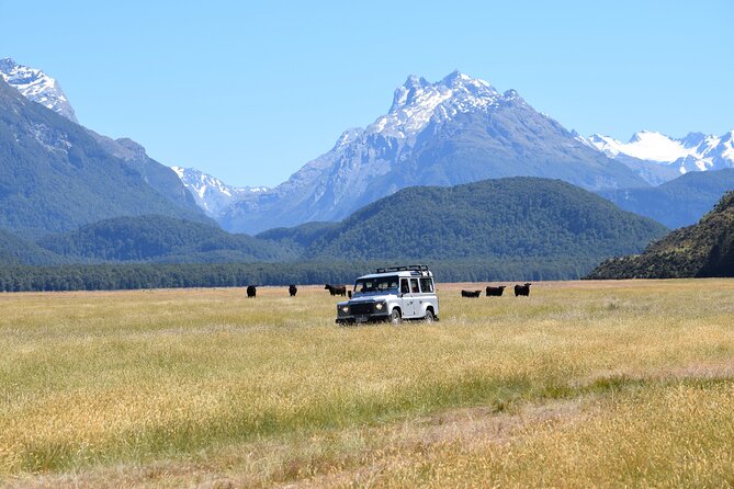 Paradise Valley Full Day Tour - A quiet forest walk above the Dart River