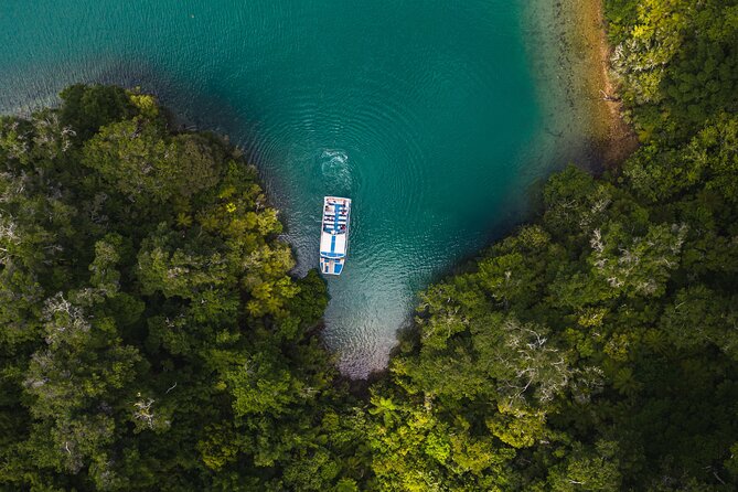 Pelorus Mail Boat Sunday Scenic Cruise – Full-Day from Havelock - Hopai Bay Farm and the Gerard family garden