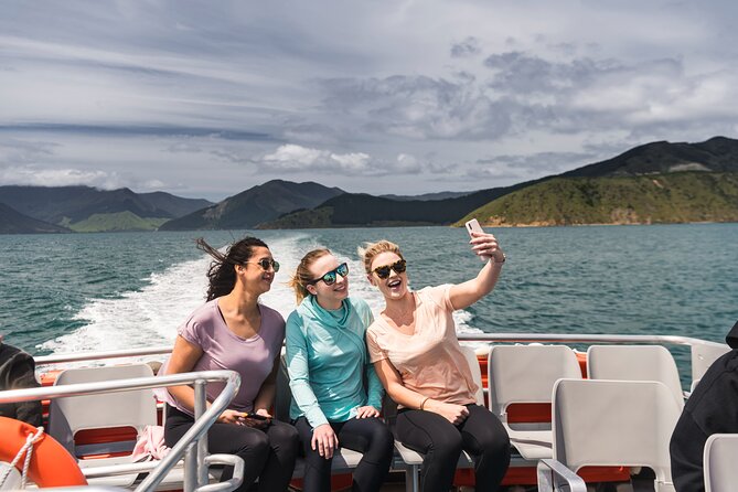 Pelorus Mail Boat Sunday Scenic Cruise – Full-Day from Havelock - Optional wine tasting for $20