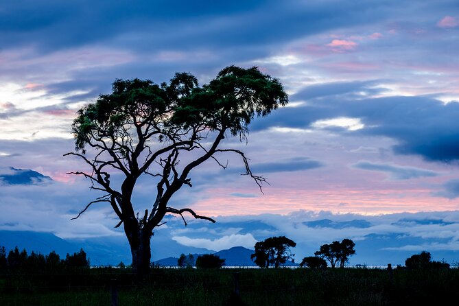 Photography Tour from Queenstown to Glenorchy - 1/2 Day - The private format and its value