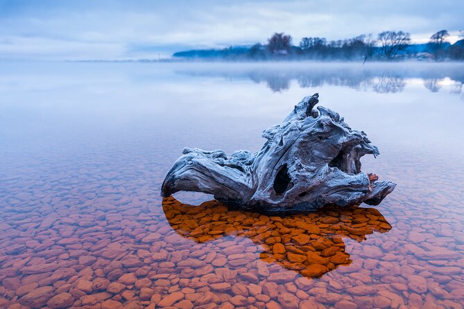 Photography Tour from Queenstown to Glenorchy - 1/2 Day - Practical details that affect your day