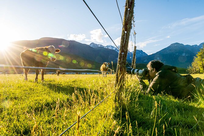 Photography Tour from Queenstown to Glenorchy - 1/2 Day - Who should book this Queenstown photography tour?