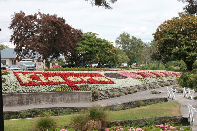 Picton & Blenheim Scenic Tour - Pollard Park’s calm botanical break
