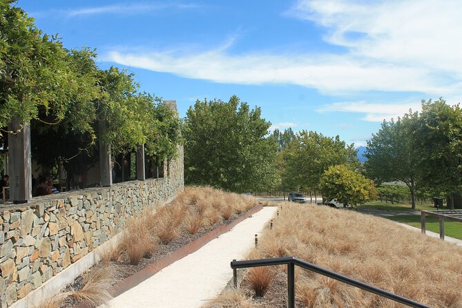 Picton & Blenheim Scenic Tour - Lunch at The Vines Village