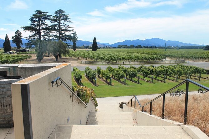 Picton & Blenheim Scenic Tour - The winery and four included tastings