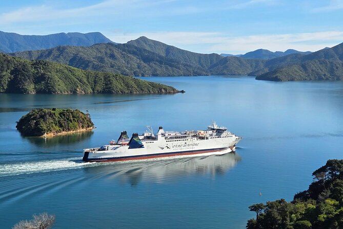 Picton & Blenheim Scenic Tour - Why the small group changes the day