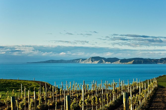 Picton Cruise Ship Shore Excursion Marlborough Wine Tour - From Picton harbor to the Marlborough vineyards