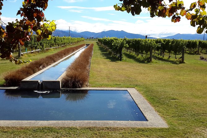 Picton Cruise Ship Shore Excursion Marlborough Wine Tour - Is $155.14 per person good value?