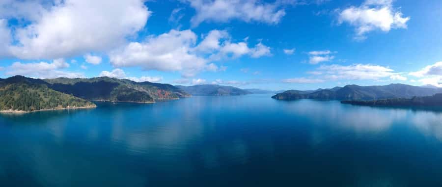 Picton Shore Excursion: Queen Charlotte Sounds Cruise - Who should book this cruise?