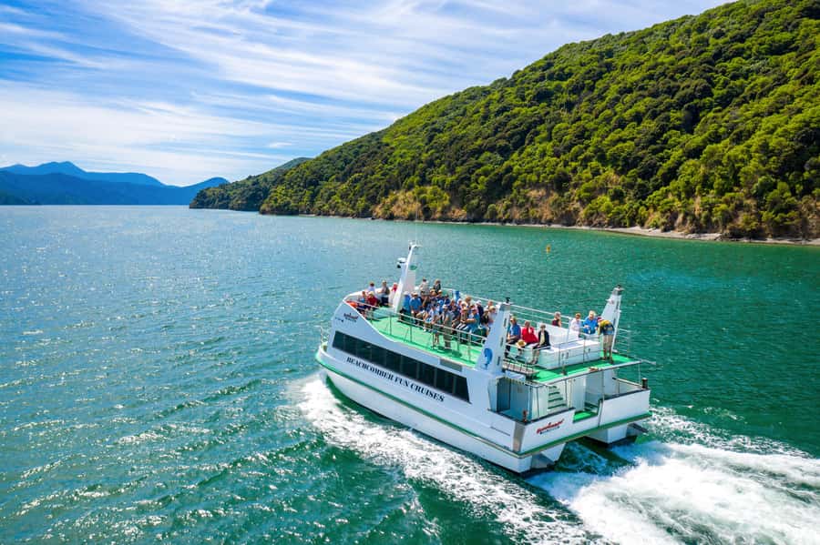 Picton Shore Excursion: Queen Charlotte Sounds Cruise - Wildlife, fish feeding, and realistic expectations