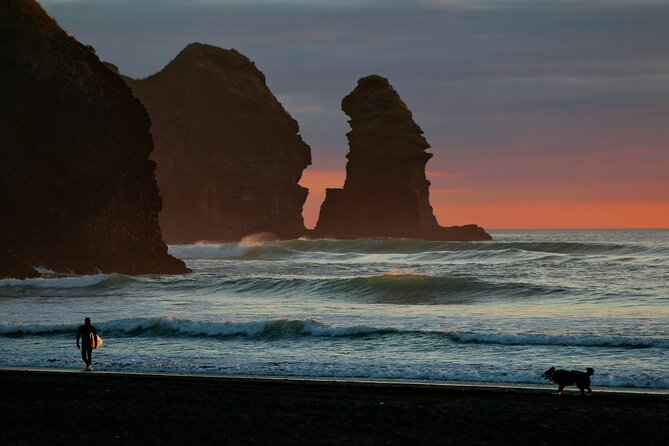 Piha Beach & Wilderness Nature : PRIVATE TOUR 8 hrs - Key points to know before booking