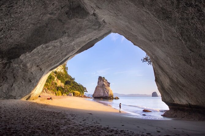 Piha Beach & Wilderness Nature : PRIVATE TOUR 8 hrs - Piha Beach and the wild west coast