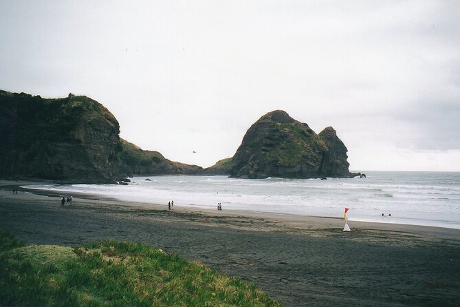 Piha Beach & Wilderness Nature : PRIVATE TOUR 8 hrs - Rainforest walks and the optional waterfall stops