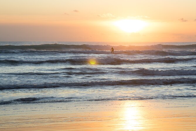 Piha Beach & Wilderness Nature : PRIVATE TOUR 8 hrs - What to bring and how to plan the day