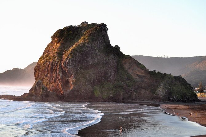 Piha Beach & Wilderness Nature : PRIVATE TOUR 8 hrs - Westhaven Marina and the Waitemata Harbour