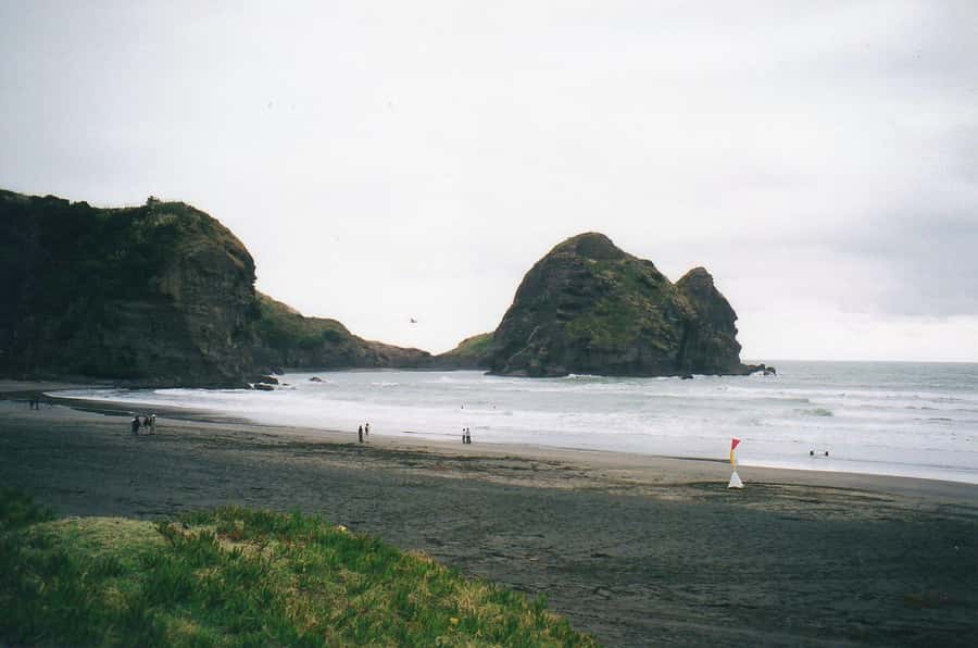 Piha Beach & Wilderness Private Tour: Auckland Half Day Trip - Leaving Auckland for the west coast