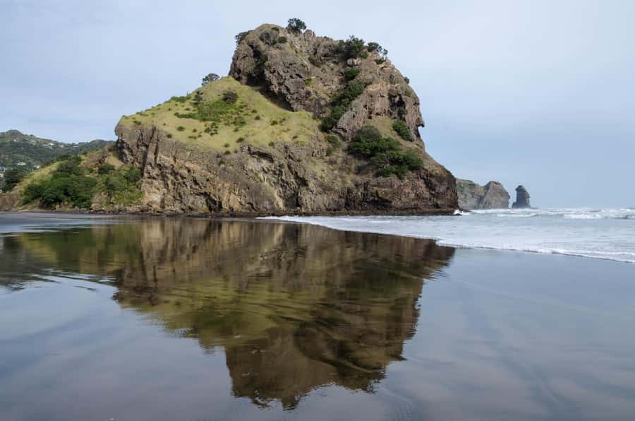 Piha Beach & Wilderness Private Tour: Auckland Half Day Trip - Arataki Visitor Centre and the Waitākere Ranges