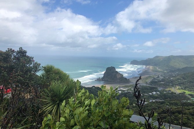 Piha Waitakere Rainforest Wine Tour from Auckland - A west Auckland day that does more than pour wine