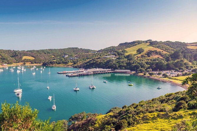 Piha Waitakere Rainforest Wine Tour from Auckland - How the guide affects the experience