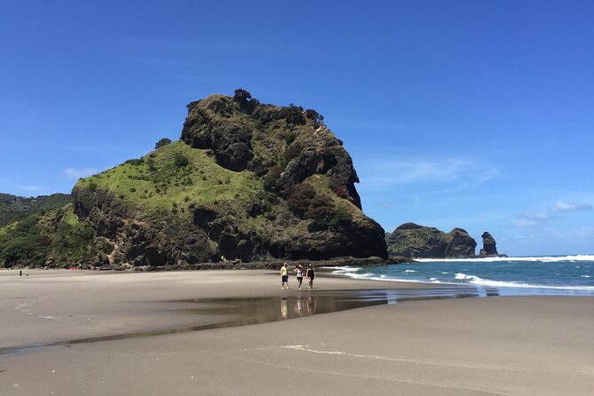 Piha Waitakere Rainforest Wine Tour from Auckland - Who gets the best value from this tour