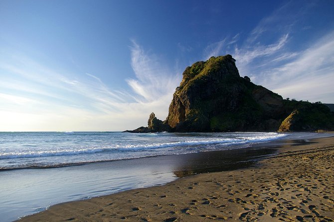 Piha Waitakere Rainforest Wine Tour from Auckland - Karekare Falls and a short walk through native forest