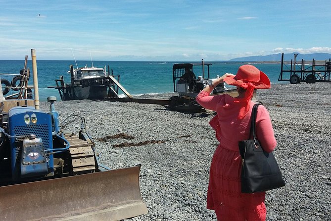 "Pinot to Palliser tour" - Guided tour to Cape Palliser vith lunch + winetasting - From Martinborough vines to the southern coast