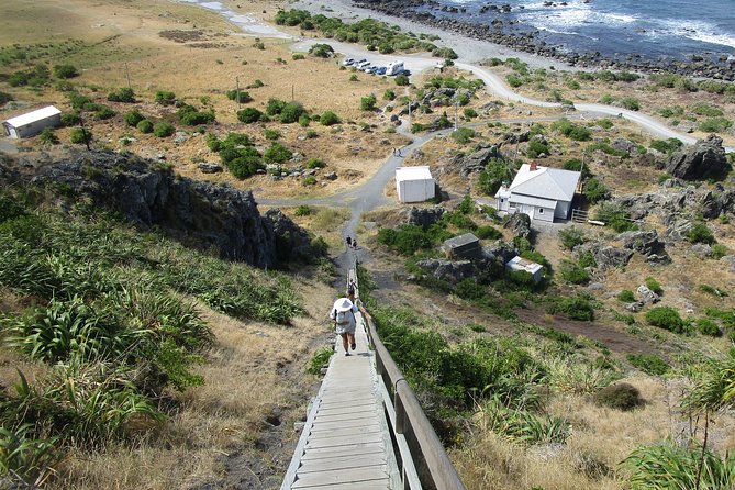 "Pinot to Palliser tour" - Guided tour to Cape Palliser vith lunch + winetasting - Fish and chips at the historic Lake Ferry Hotel