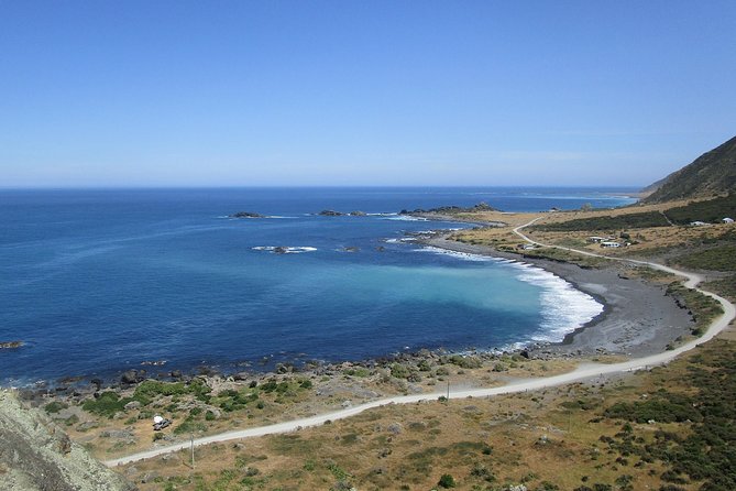 "Pinot to Palliser tour" - Guided tour to Cape Palliser vith lunch + winetasting - A rural vineyard and award-winning wines