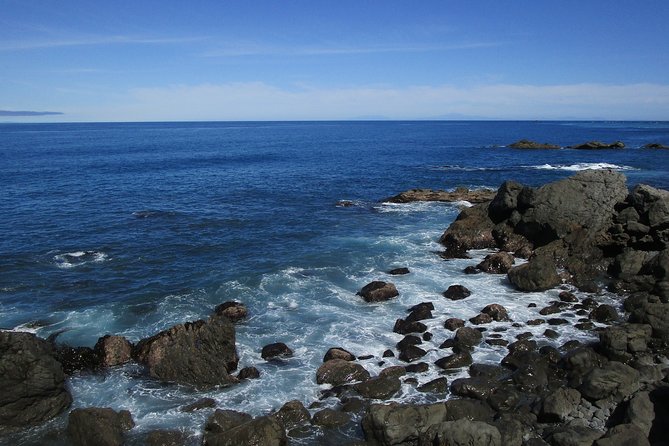 "Pinot to Palliser tour" - Guided tour to Cape Palliser vith lunch + winetasting - Who gets the best value from the $201.69 price