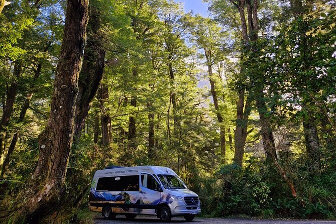 Premium Milford Sound Small Group Tour & Cruise from Queenstown - Food, comfort, and the small-group setup