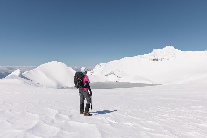 Premium Mt Ruapehu Summit Plateau Guided Group Hike - The climb across volcanic rock and snow