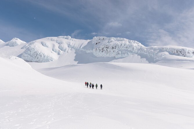Premium Mt Ruapehu Summit Plateau Guided Group Hike - The price: what you receive for $315.25