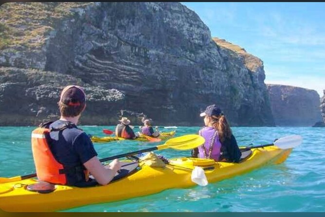Private Akaroa Day Tour From Christchurch - Starting out from Christchurch or Lyttelton Port