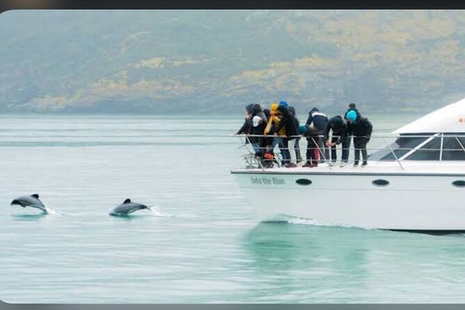 Private Akaroa Day Tour From Christchurch - Four hours in Akaroa: make the town your own