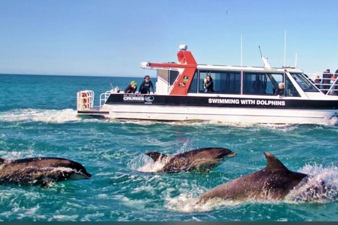 Private Akaroa Day Tour From Christchurch - Food, shopping, and the pace of the afternoon