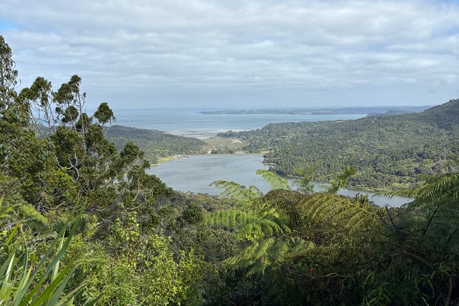 Private Auckland best Spots + Piha beach and rainforest day Tour - Auckland Domain Wintergardens: a short change of pace